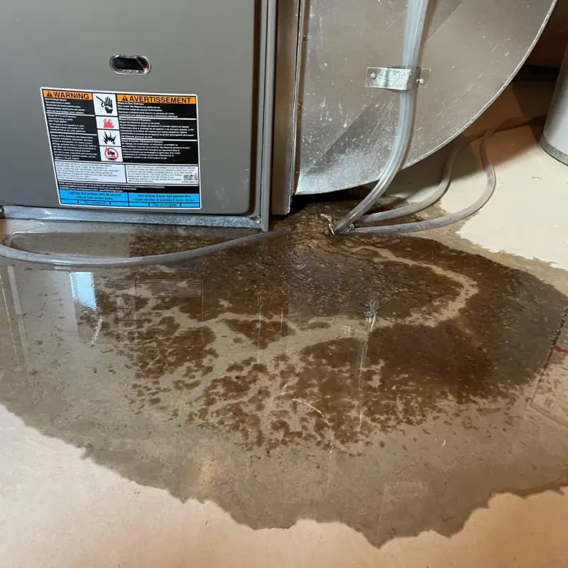 Appliance Leak Cleanup in Pike County, GA